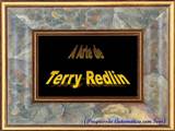 A Arte de Terry Redlin